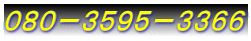 080-3595-3366